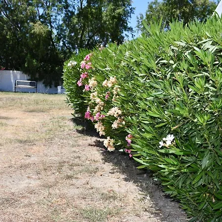 1-bedroom Olympia At Lambi Apartamento