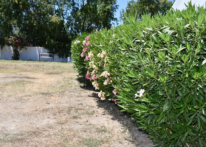 1-bedroom Olympia At Lambi 아파트