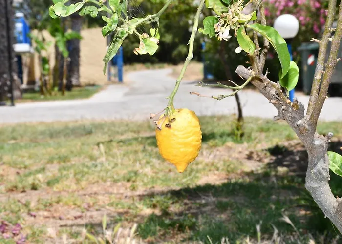 1-bedroom Olympia At Lambi * بلدة كوس