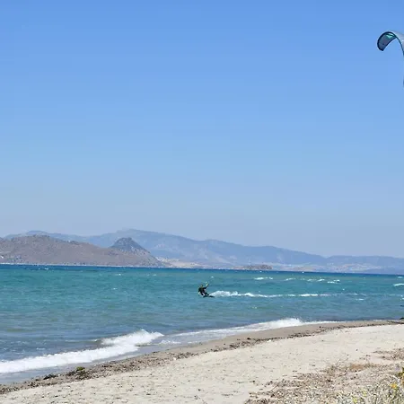 1-bedroom Olympia At Lambi *