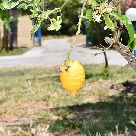 1-bedroom Olympia At Lambi * Kos-Stadt