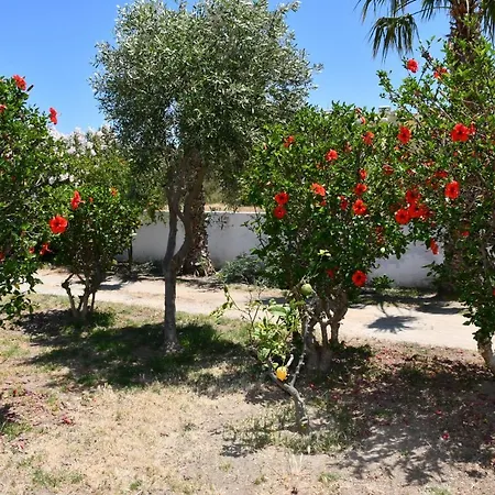 Apartment 1-bedroom Olympia At Lambi *