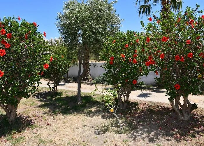 Daire 1-bedroom Olympia At Lambi *